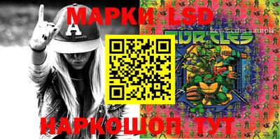 гидропоника Будённовск