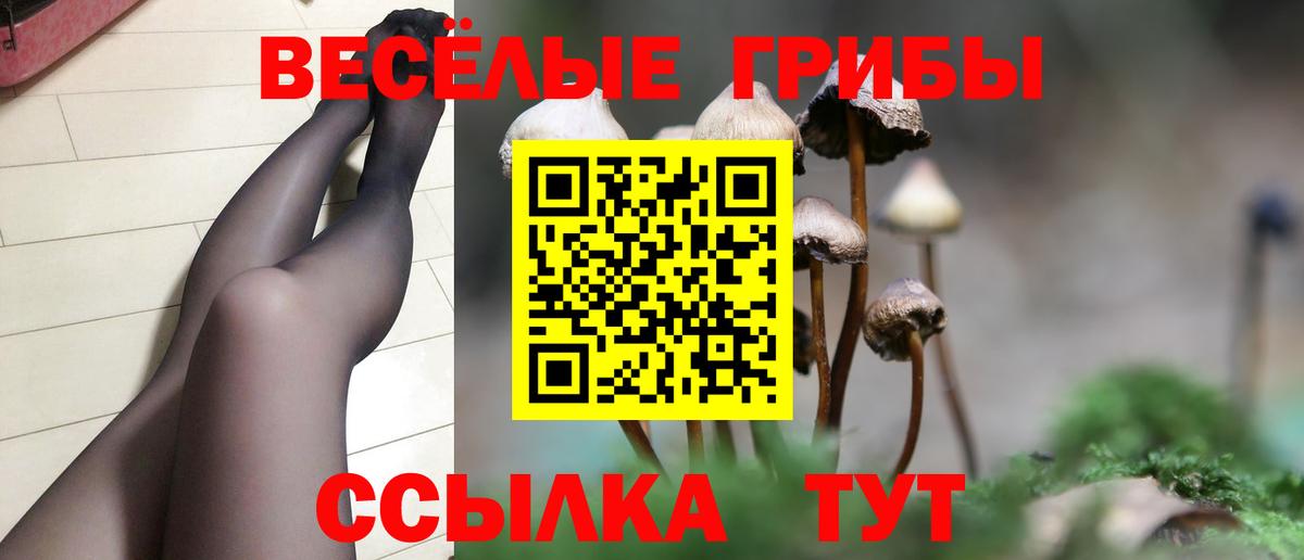 Псилоцибиновые грибы мухоморы  Псилоцибиновые грибы MAGIC MUSHROOMS  Вход с VPN  Ржев 